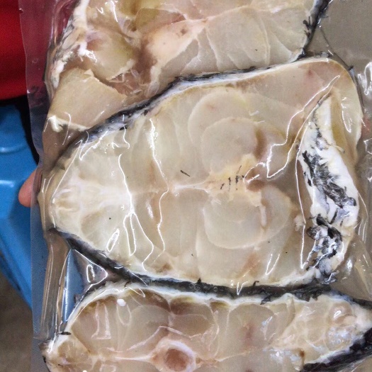 饶平县淡水银鳕鱼 人工养殖