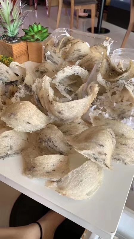 东兴市雪燕 毛燕