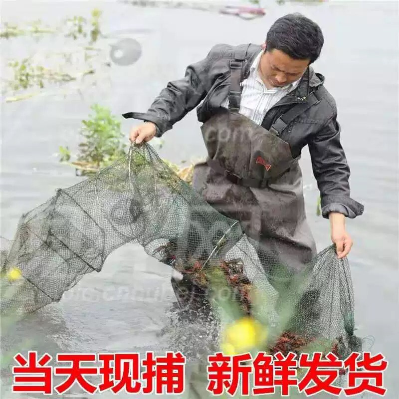 ￼湖北监利小龙虾小青10中青13大青18元/斤 损耗包赔