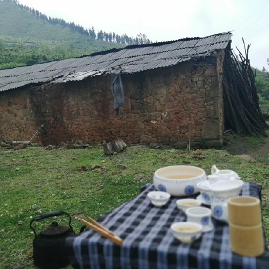 贵阳贵州绿茶 中国紫茶之乡 哒依高山茶
