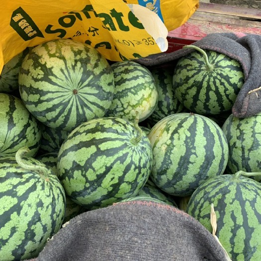 扶绥县精品甜王西瓜