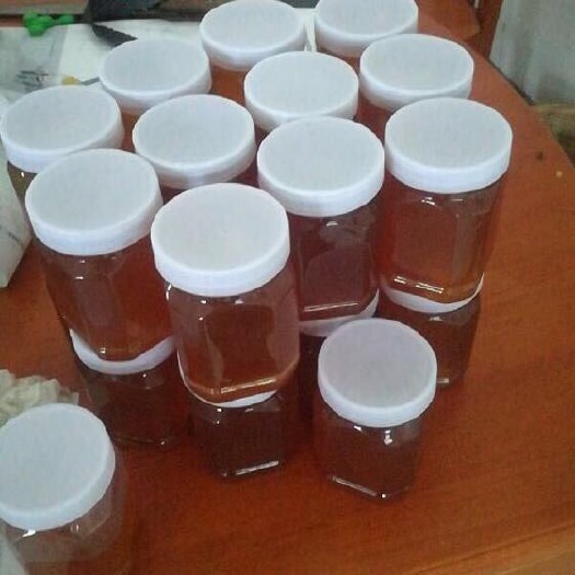 嵊州市 真正的土蜂蜜假1陪万