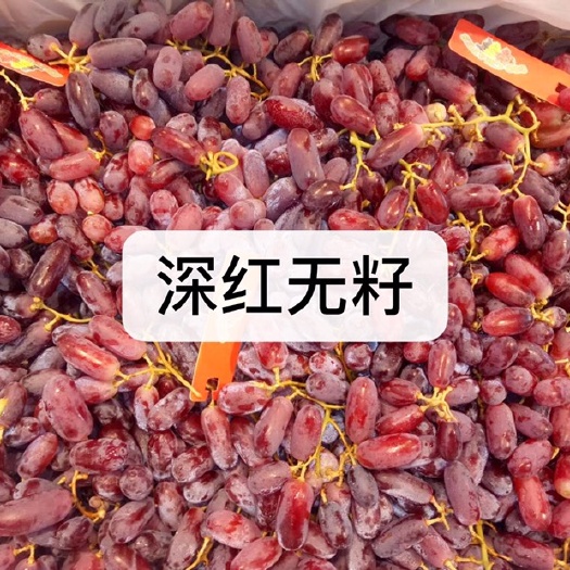卢龙县红宝石葡萄苗  深红无籽葡萄苗，甜蜜红宝石