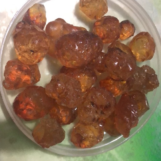福州食用桃胶 24个月以上