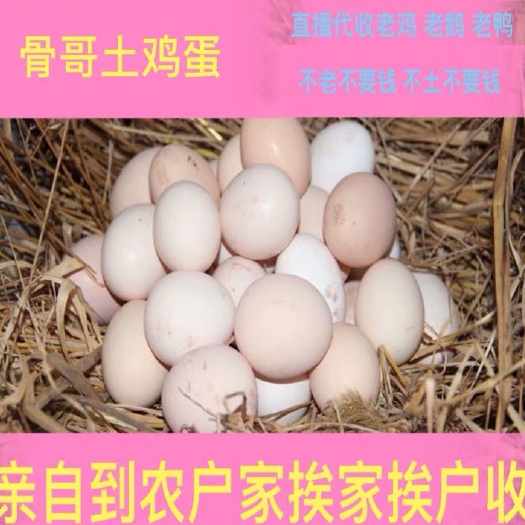 兴义市 鸡蛋  土鸡蛋