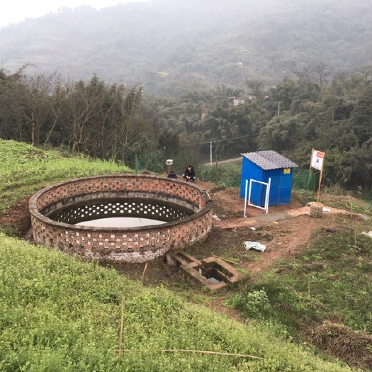江安县 九叶青花椒苗圃食用和工业用