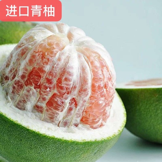 北流市泰国青柚苗 长期供应 红心四季无籽青柚苗