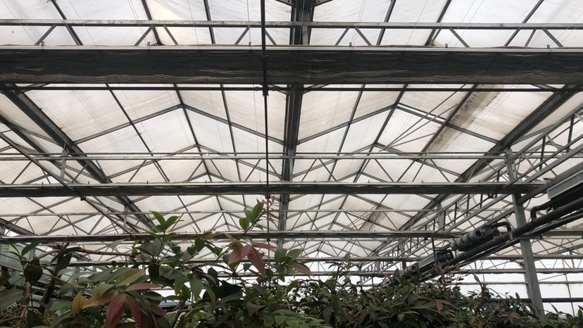 天津 蔬菜大棚 温室大棚