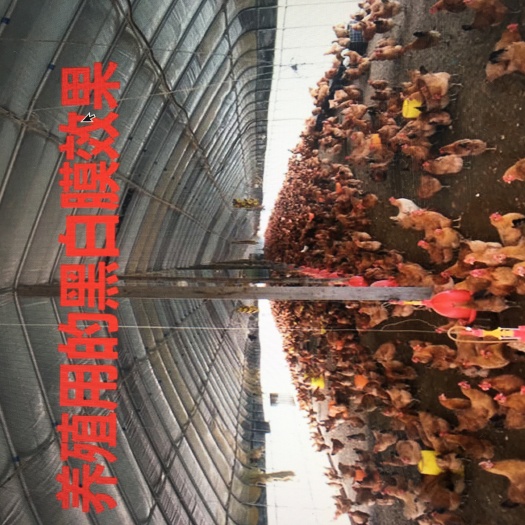 黑白膜 防渗膜