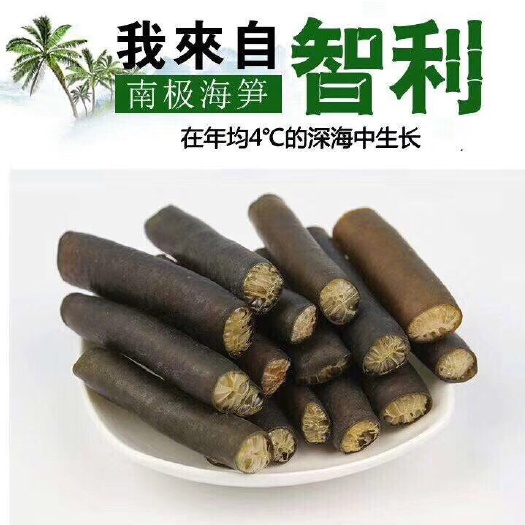 怀化海笋 