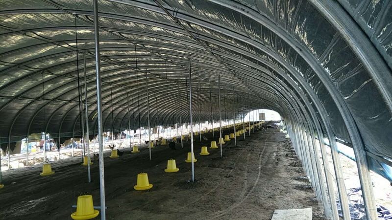 沭阳县椭圆管骨架 温室椭圆管暖棚 种植 养殖