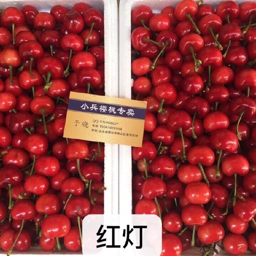 烟台红灯樱桃 8-12g 24-26mm