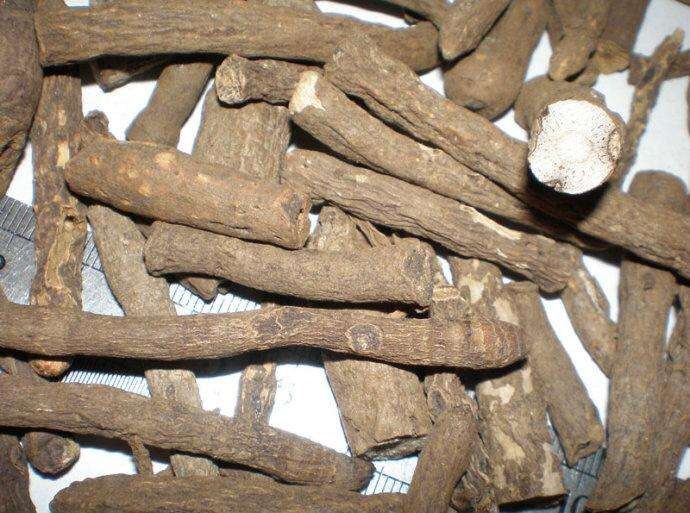 六盘水 大量供应仙茅