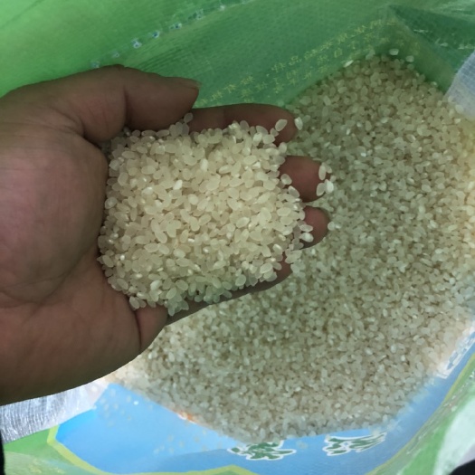 常州 优质大米