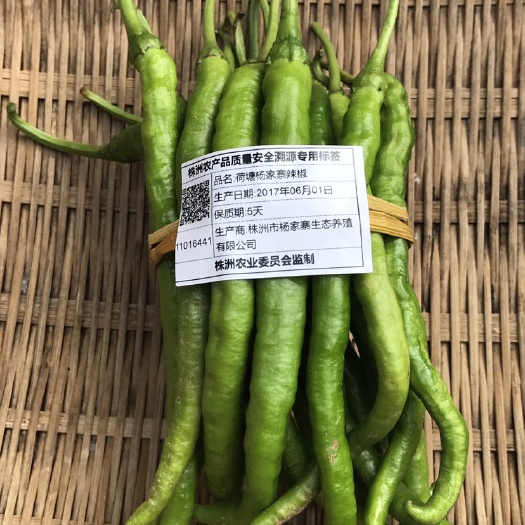 株洲 辣椒