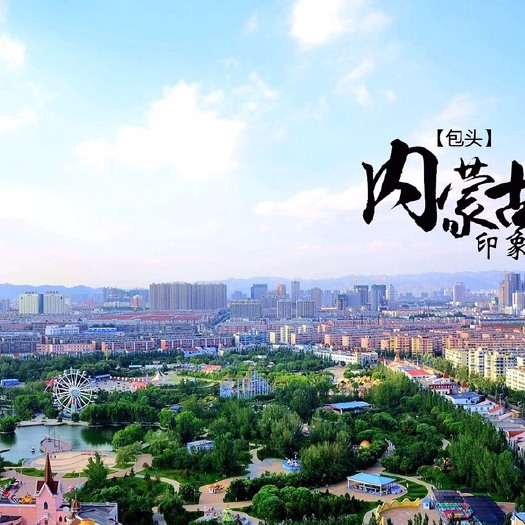 固阳县黄芪切片 内蒙古固阳县扶贫地理商标特产