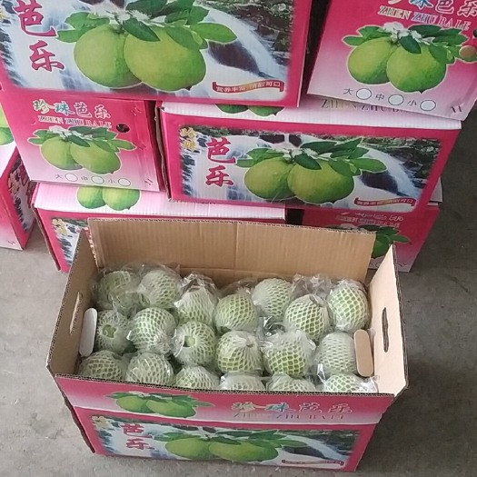 诏安县番石榴 白心精品芭乐，可提供各种包装，各种标准。价格随市场行情