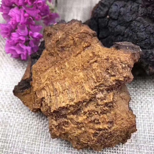 安国市俄罗斯桦树茸 华树茸 糖尿丙克星 2斤包邮偏远除外