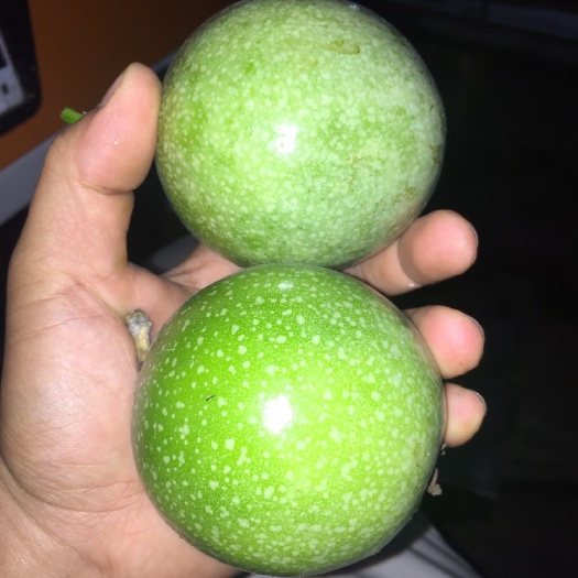 海口 海南芭乐黄金百香果