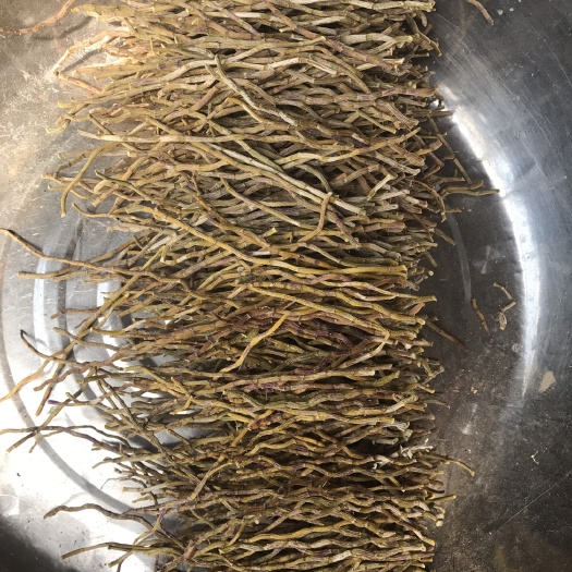 芒市铁皮石斛 