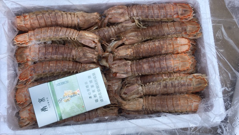 滨州 皮皮虾 熟冻皮皮虾 自助餐厅专用
