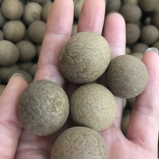东莞市带壳桂圆 优等 箱装 带壳