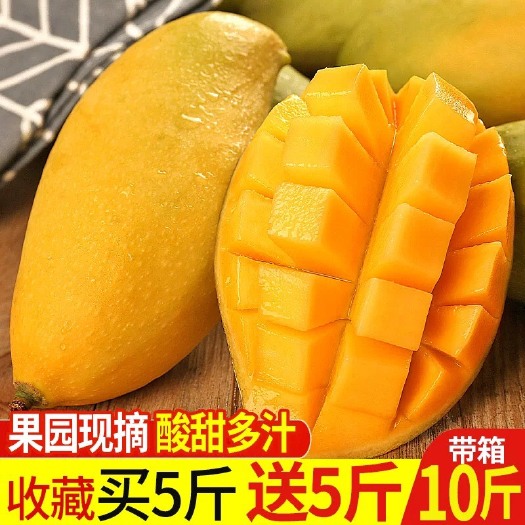 海口 新鲜芒果大量批发