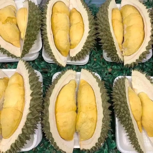 宁波泰国金枕榴莲 果地价格，泰国干尧，金枕