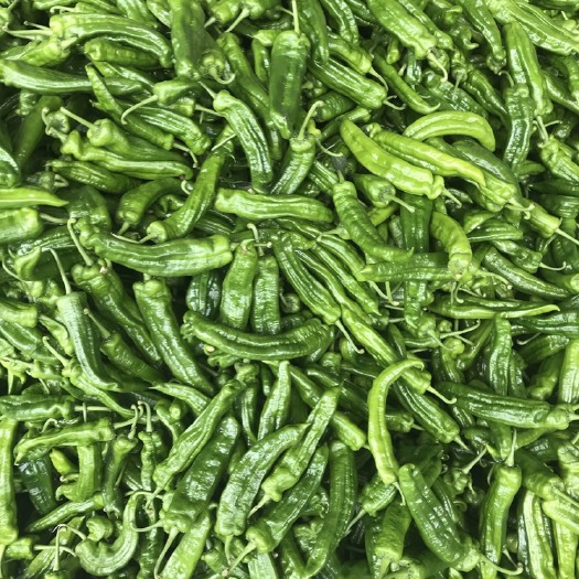 兰陵县 301辣椒（大量蔬菜供应）