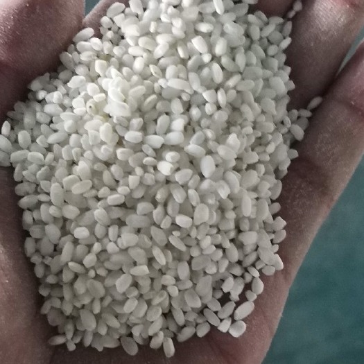 济宁 厂家直销大量出售大米白米 供应现货白米 批发零售白米