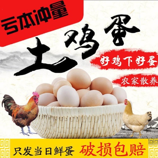 广宗县 正宗散养土鸡蛋，价格实惠质量保证，假一赔十