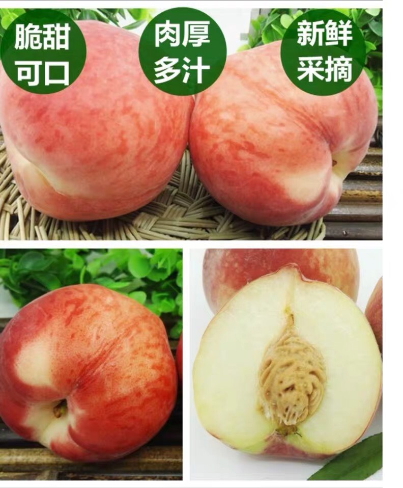 春美桃 65mm以上 4-5两