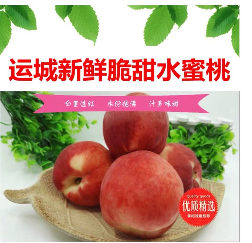 春美桃 65mm以上 4-5两