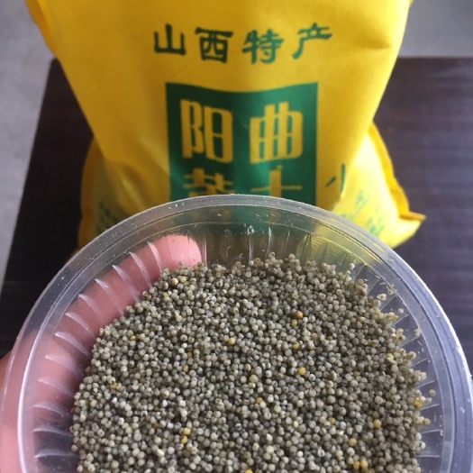 阳曲县黑小米