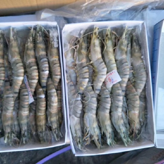 虾虎鱼 批发大虾