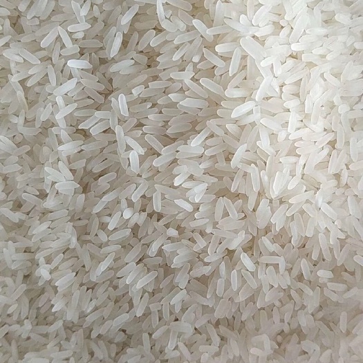南宁丝苗米 一等品 晚稻 籼米