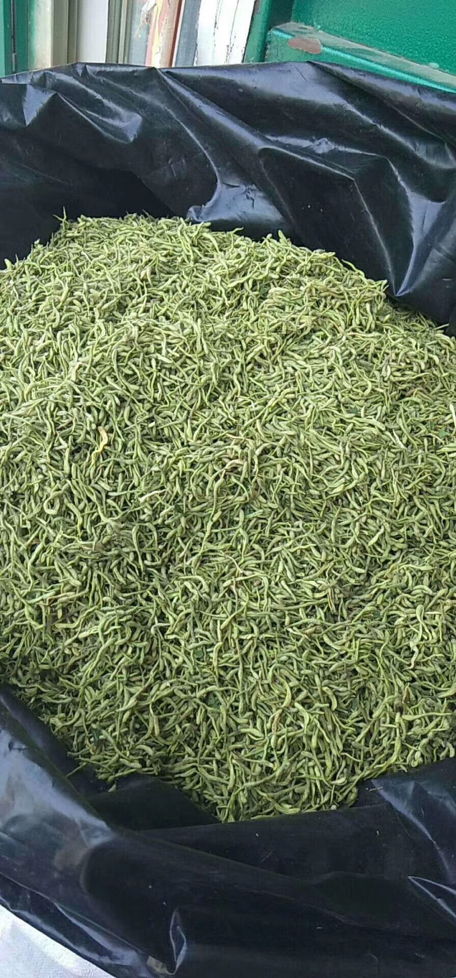 新货金银花 河北货茶饮花   绿花