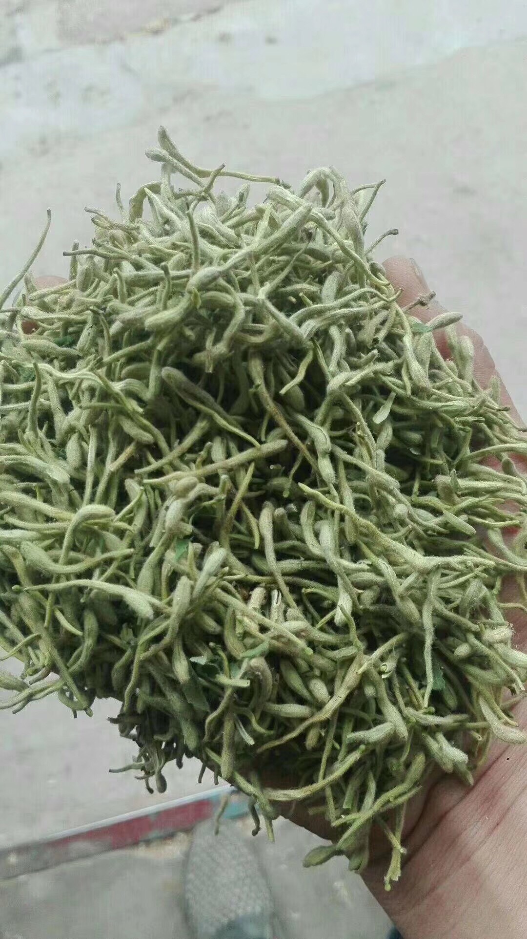 新货金银花 河北货茶饮花   绿花