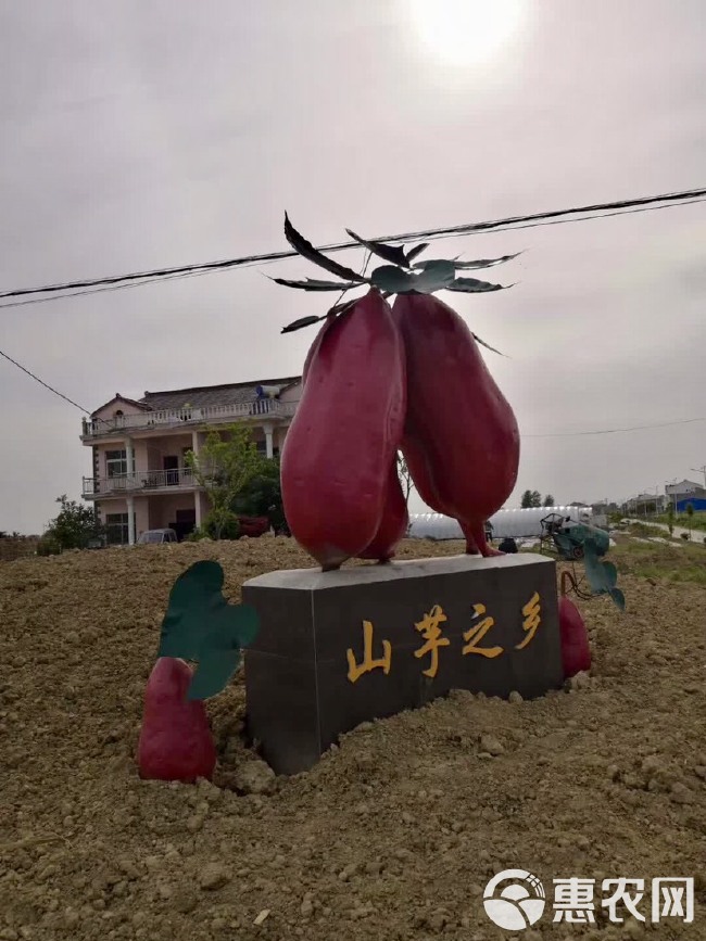 红薯粉丝  纯手工粉丝安徽特产泗县山芋之乡厂家直销批发商代卖