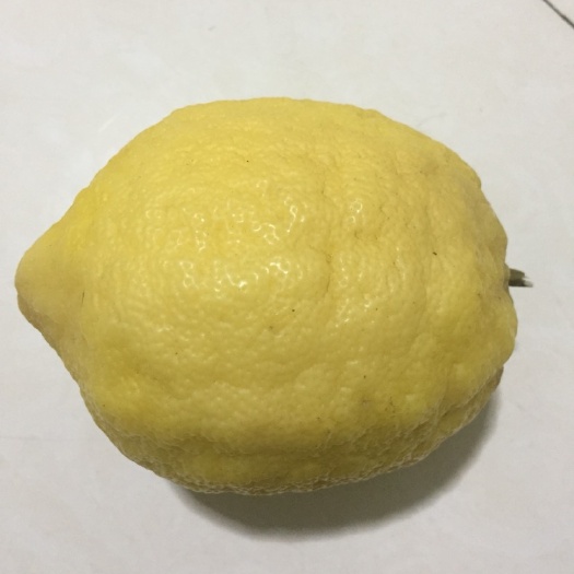 安岳县尤力克柠檬 5 - 6两