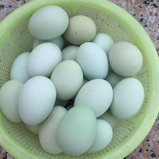 苍南县五黑鸡鸡蛋 简包装 食用