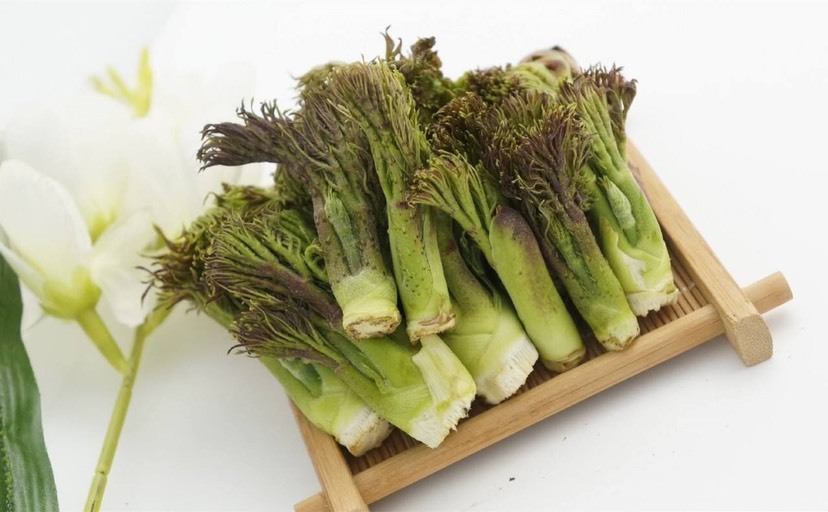 伊春刺老芽 露天 鲜货 散装