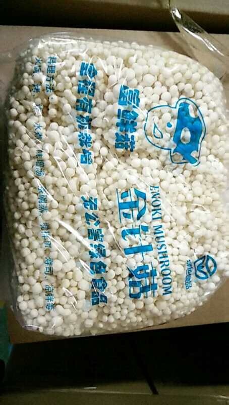 滨海县 金针菇