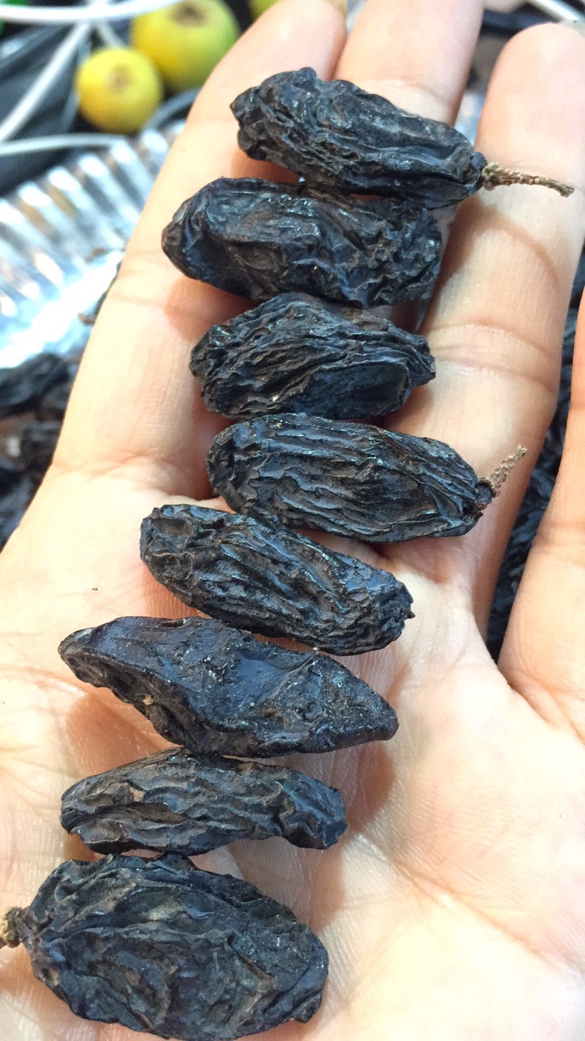 温宿县新疆特大超大黑加仑黑美人带籽葡萄干 吐鲁番大黑提干5斤包邮