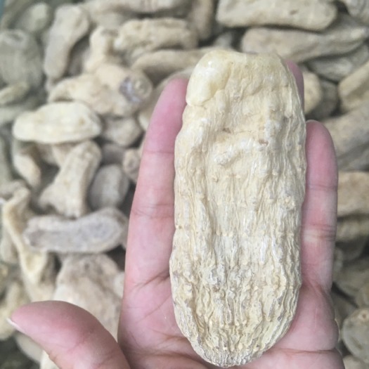 昆明 昭通天麻