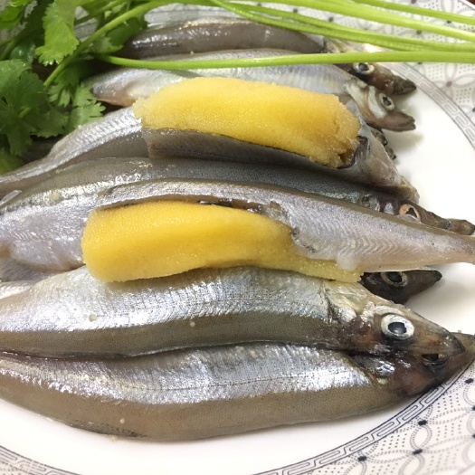 饶平县冻多春鱼 满籽多春鱼，条条爆籽