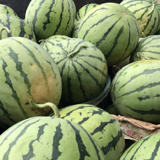 岳阳县麒麟西瓜 10斤打底 有籽 1茬 8成熟 