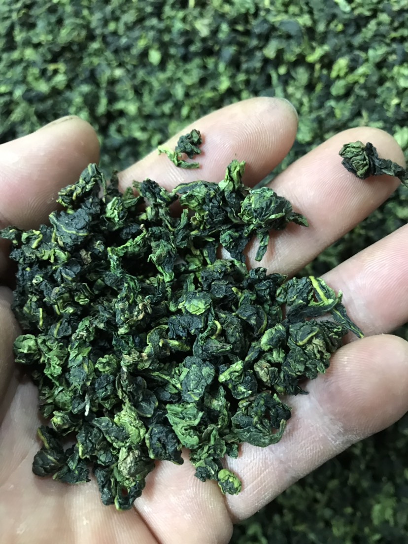 新茶铁观音茶叶浓香型散装500g安溪原产