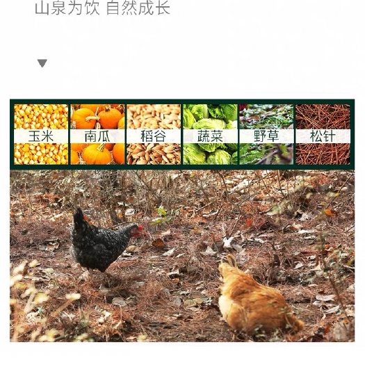 渭南 秦岭山脉绿色无污染散养土鸡蛋，老人，孩子，孕妇放心吃