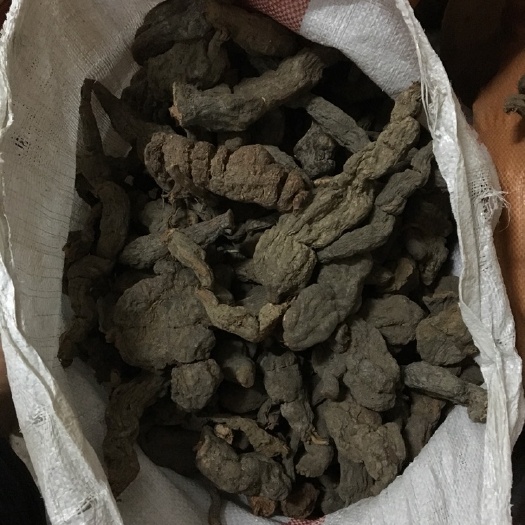 田林县 干个何首乌